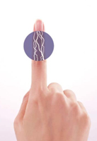 pointage biométrique