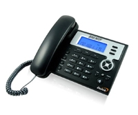Téléphone IP BSE302F